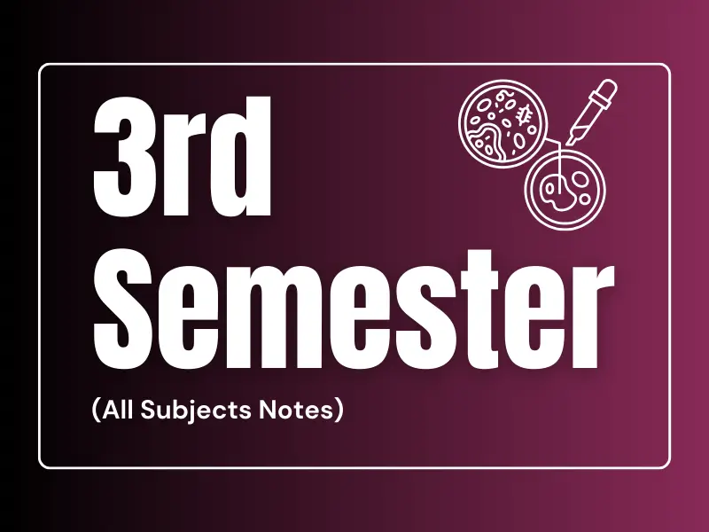 3rd Semester Notes