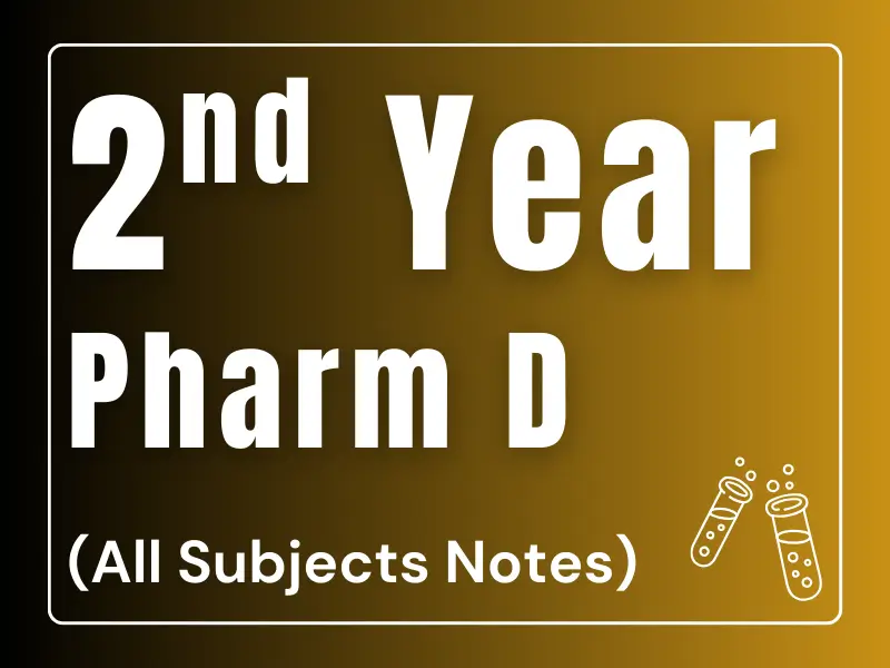 Copy of 1st Semeseter (1)